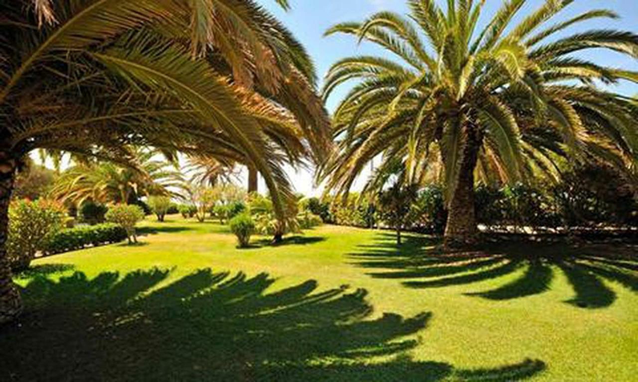 Torralta Alvor Beach 601 Bagian luar foto